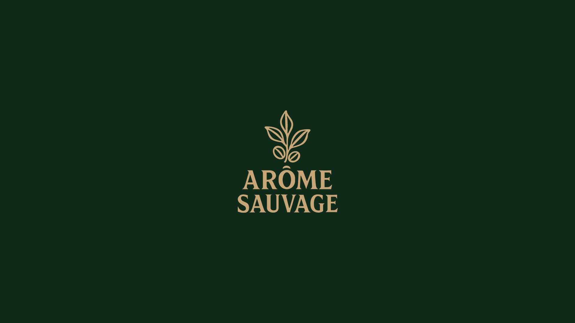Arôme-sauvage-7